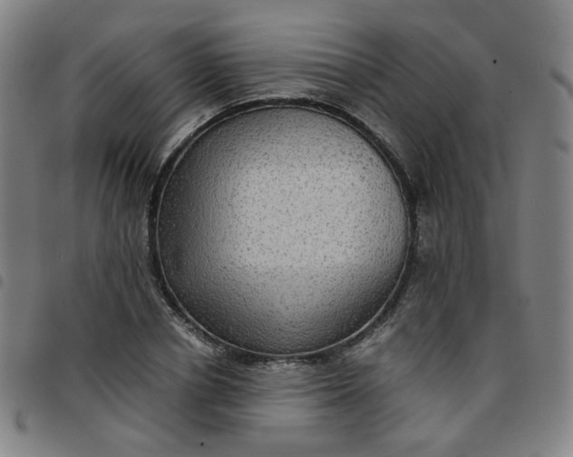 X0000097480834200803071714