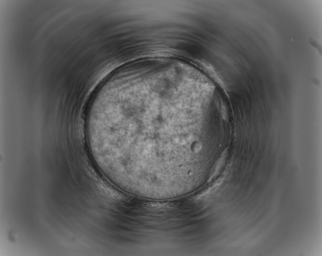 X0000097480835200803071714