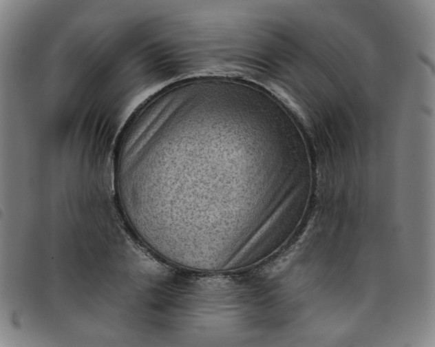 X0000097480838200803071715