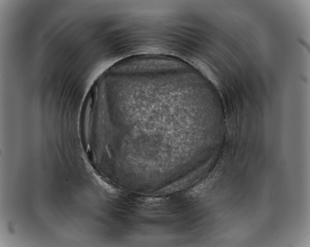 X0000097480839200803071715