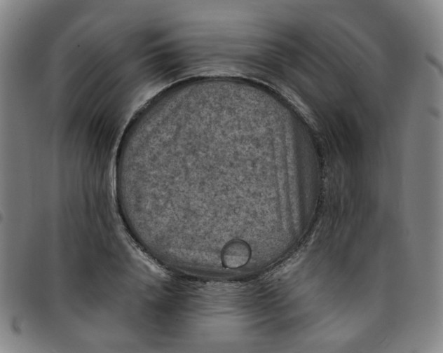 X0000097480840200803071715