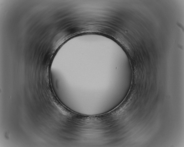 X0000097480842200803071715