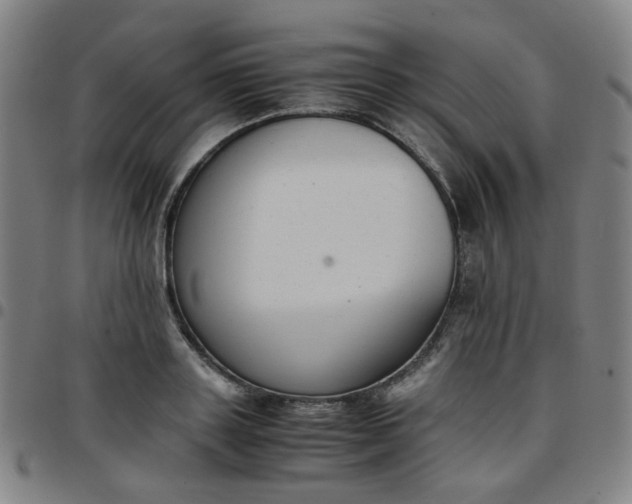 X0000097480843200803071715