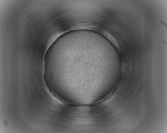 X0000097480844200803071715