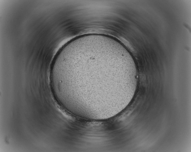 X0000097480846200803071715