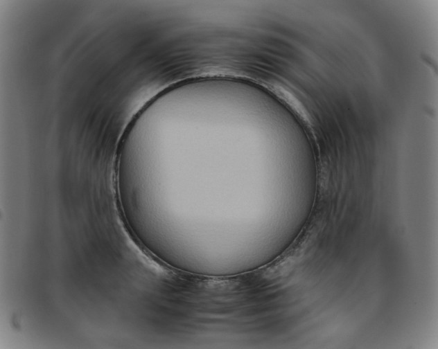 X0000097480847200803071715