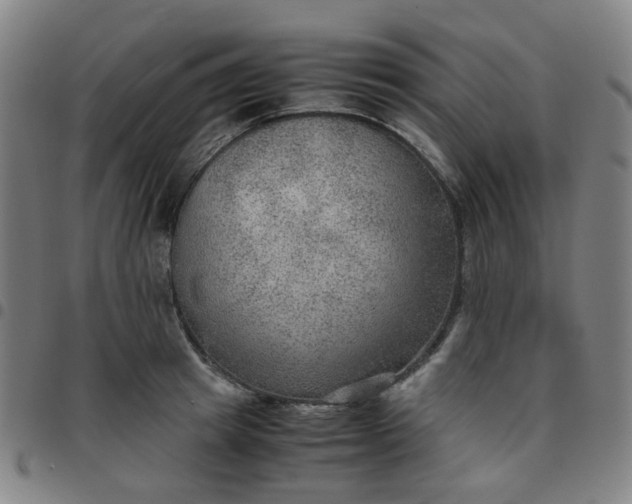 X0000097480849200803071715