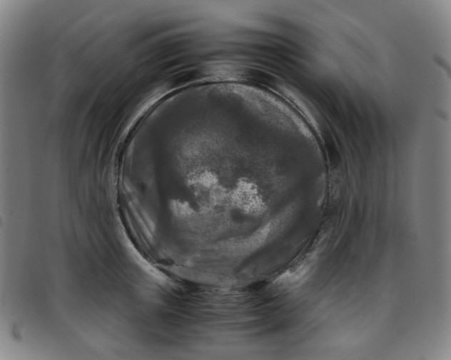 X0000097480851200803071715