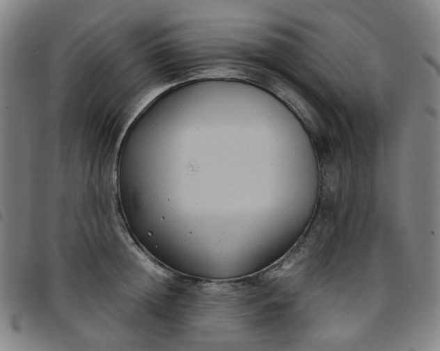 X0000097480852200803071715