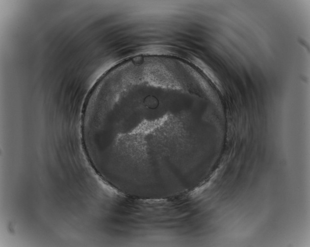 X0000097480853200803071715