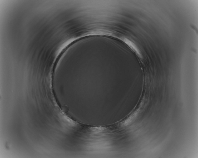 X0000097480854200803071715