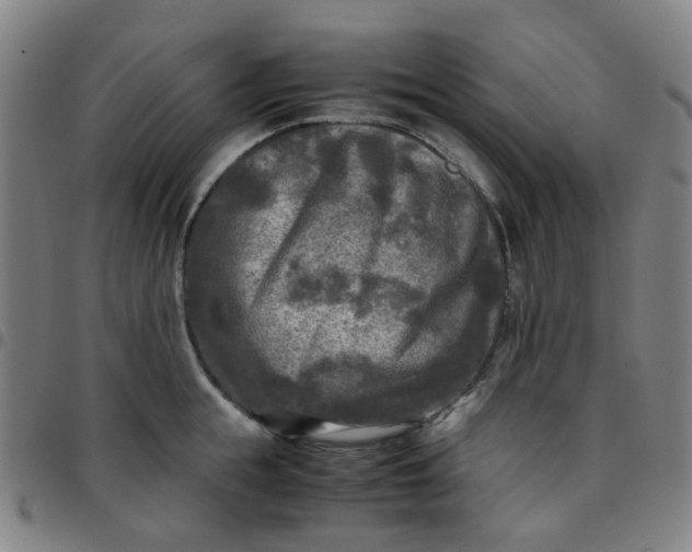 X0000097480855200803071715