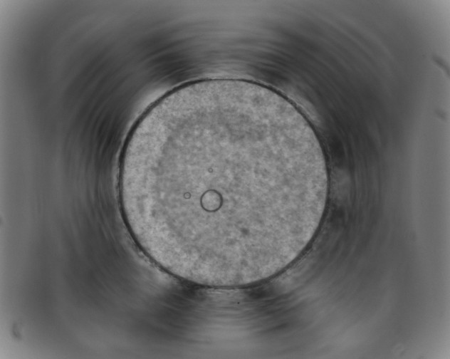 X0000097480856200803071715