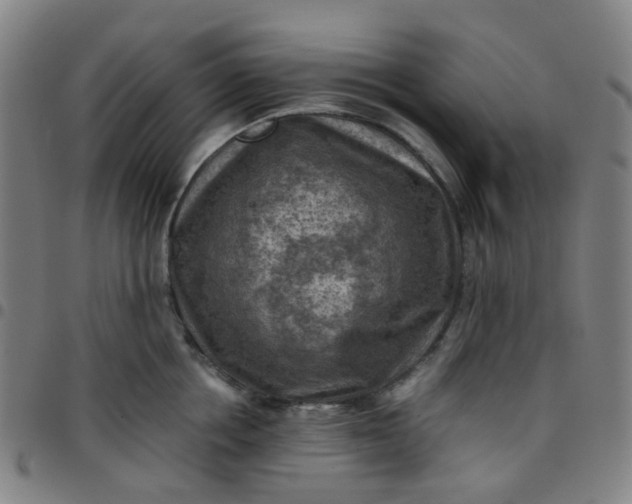 X0000097480858200803071715