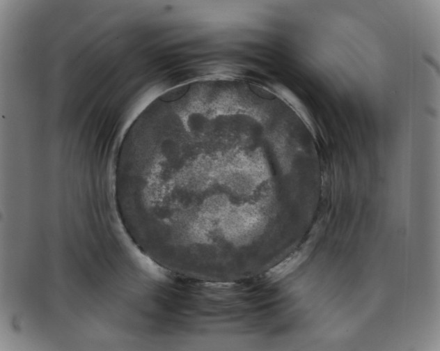 X0000097480859200803071715