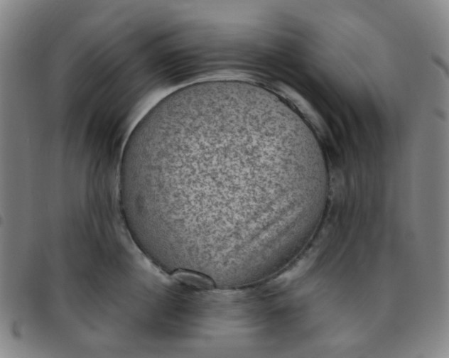 X0000097480860200803071715