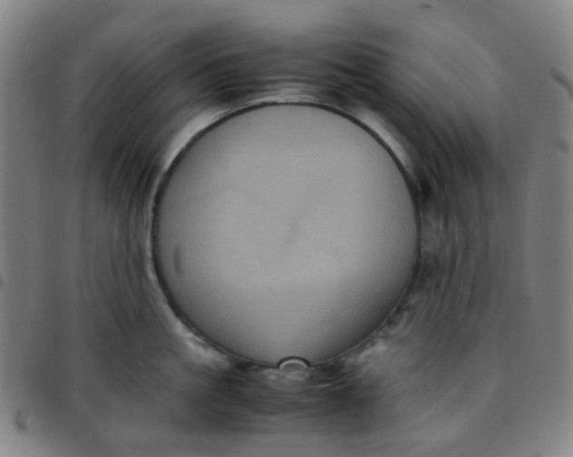 X0000097480861200803071715