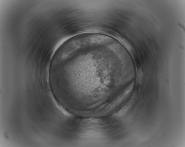 X0000097480862200803071715