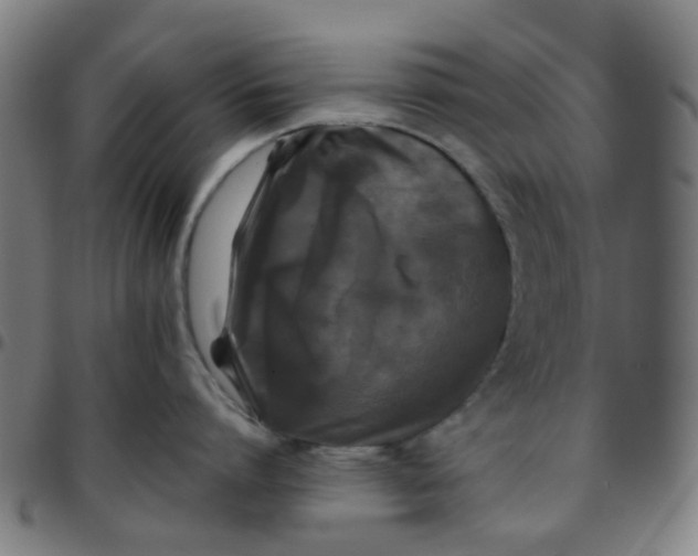 X0000097480864200803071715