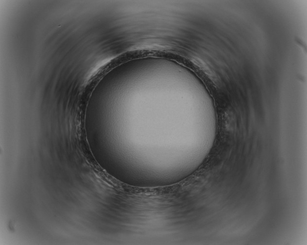 X0000097480872200803071714