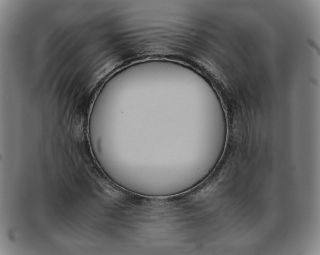 X0000097480873200803071714