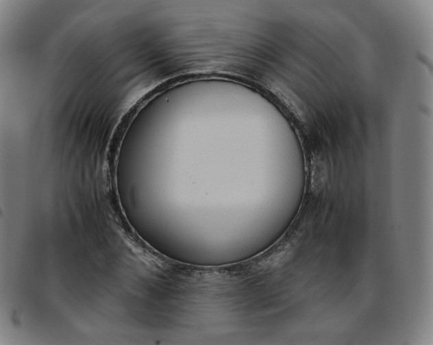 X0000097480876200803071714