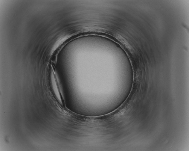 X0000097480877200803071714