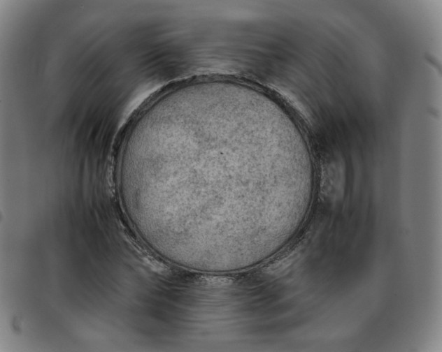 X0000097480878200803071714