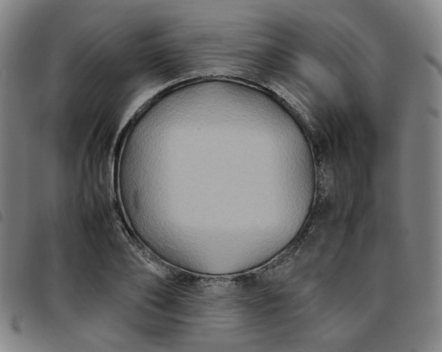 X0000097480886200803071714