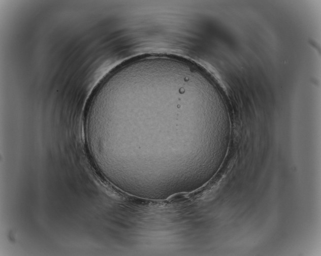 X0000097480887200803071714