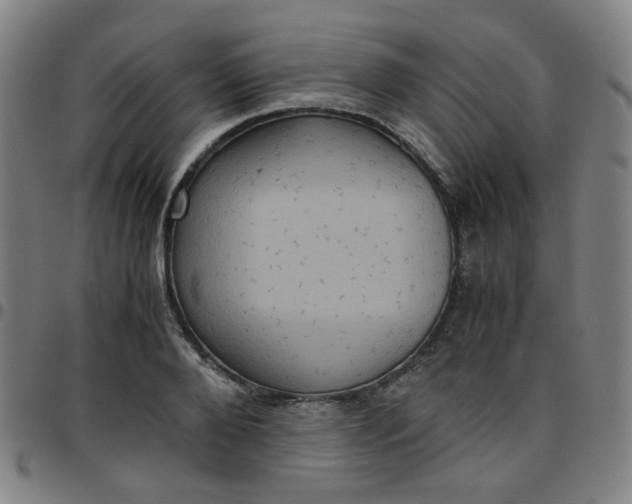 X0000097480888200803071714