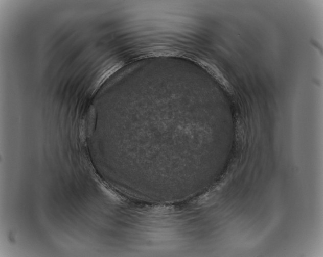 X0000097480889200803071714