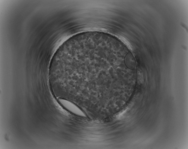 X0000097480895200803071714