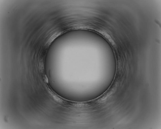 X0000097480897200803071714