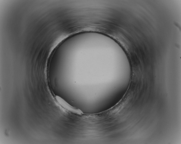 X0000097480902200803071714