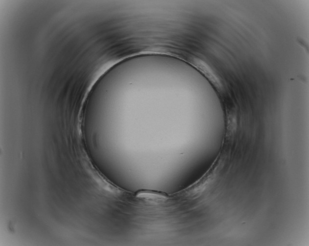 X0000097480908200803071714