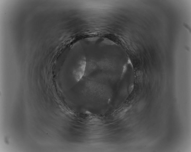 X0000097480913200803071713