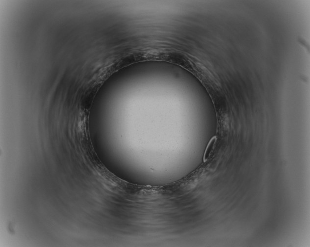 X0000097480914200803071713