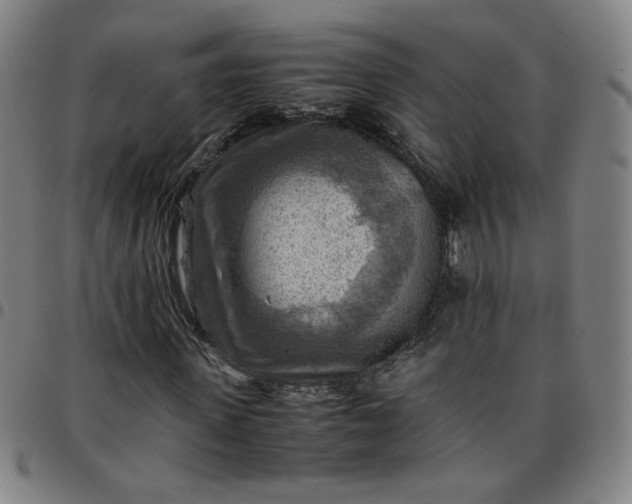 X0000097480915200803071713