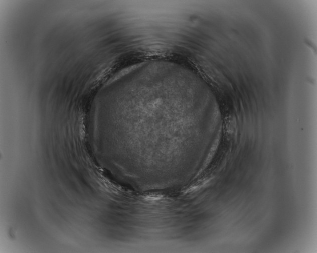 X0000097480916200803071713