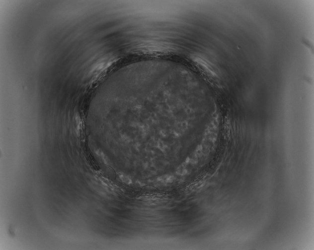 X0000097480917200803071713