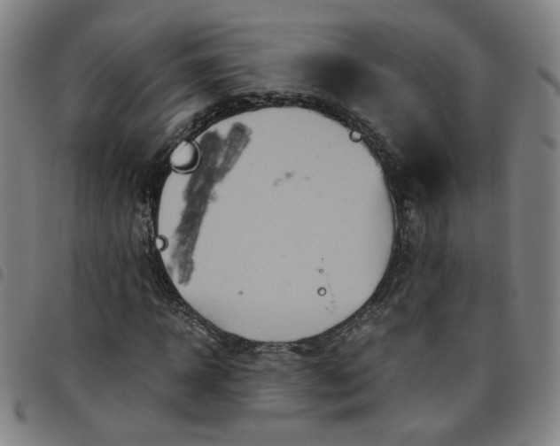 X0000097480918200803071713