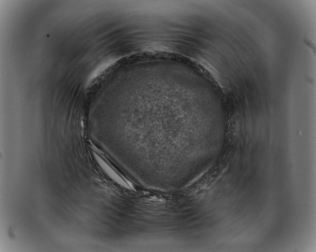 X0000097480919200803071713