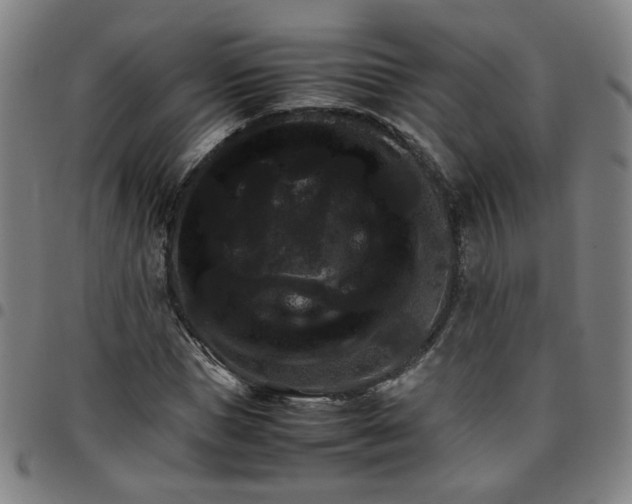 X0000097480921200803071713