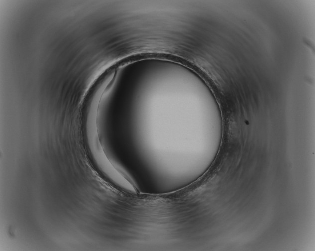 X0000097480926200803071713