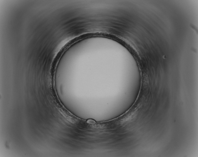 X0000097480927200803071713