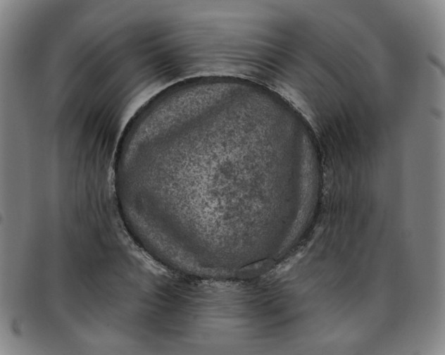 X0000097480928200803071713