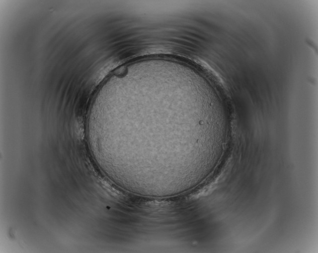 X0000097480929200803071713