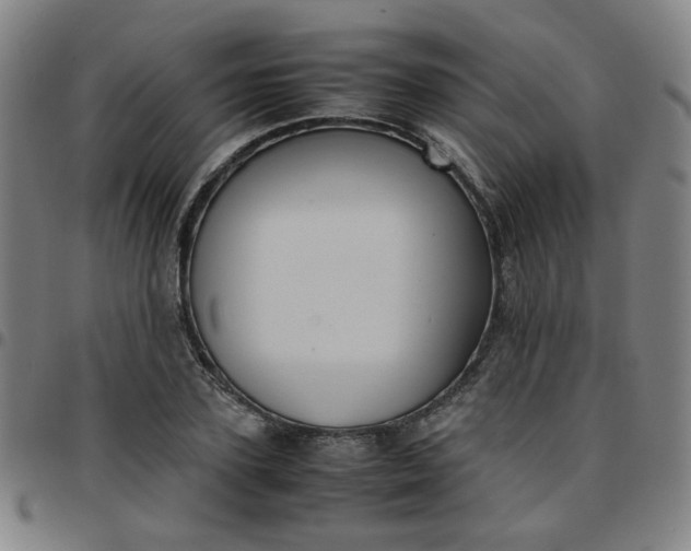 X0000097480931200803071713