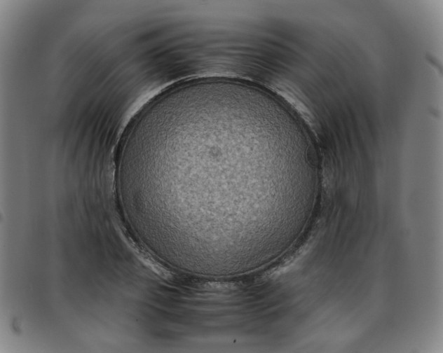 X0000097480933200803071713